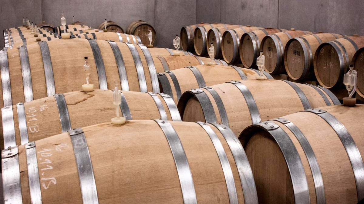 Wine barrels filled with Plavac Mali in a Dalmatian cellar, showcasing Croatia’s signature red wine aging in oak.