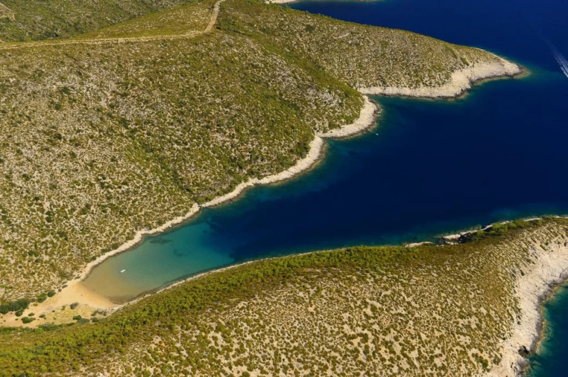 vela smokova-vis