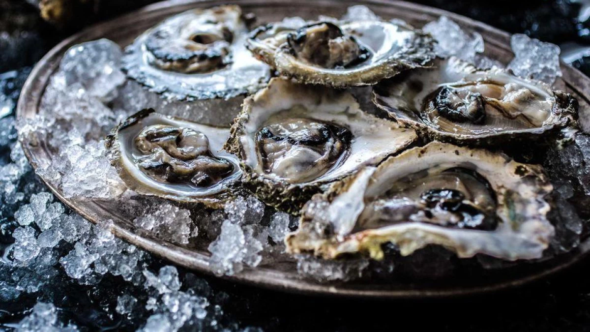 Traditional Croatian food oysters from Ston, fresh Adriatic delicacy often enjoyed on yacht charter gourmet tours