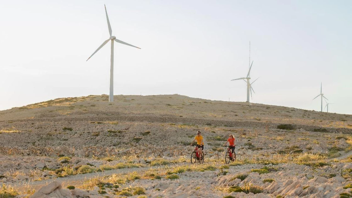 Cyclists exploring the lunar landscapes of Pag Island in Croatia, passing dry-stone walls, olive groves, and panoramic Adriatic coastline – Cycling Croatia Zadar region