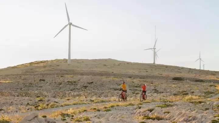 Cyclists exploring the lunar landscapes of Pag Island in Croatia, passing dry-stone walls, olive groves, and panoramic Adriatic coastline – Cycling Croatia Zadar region