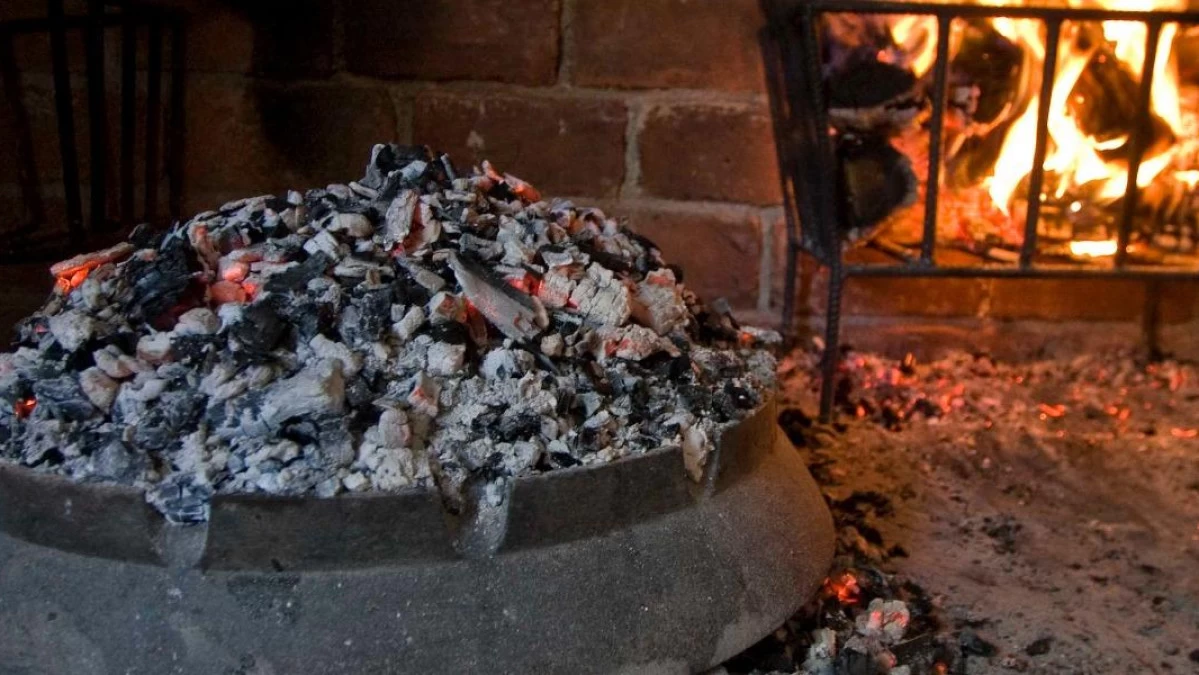 Traditional Croatian food peka hobotnica, octopus slow-cooked under the bell with potatoes, herbs, and olive oil, a Dalmatian specialty