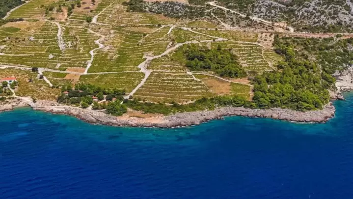 Pelje&scaron;ac vineyards overlooking the Adriatic Sea, Croatia