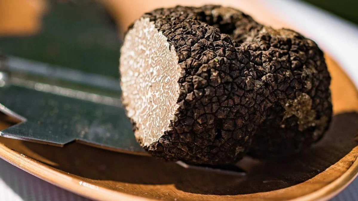 Traditional Croatian food tartuf, gourmet truffle delicacy from Istria, prized in fine dining and yacht charter cuisine