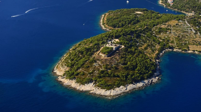 vis fortica yacht charter
