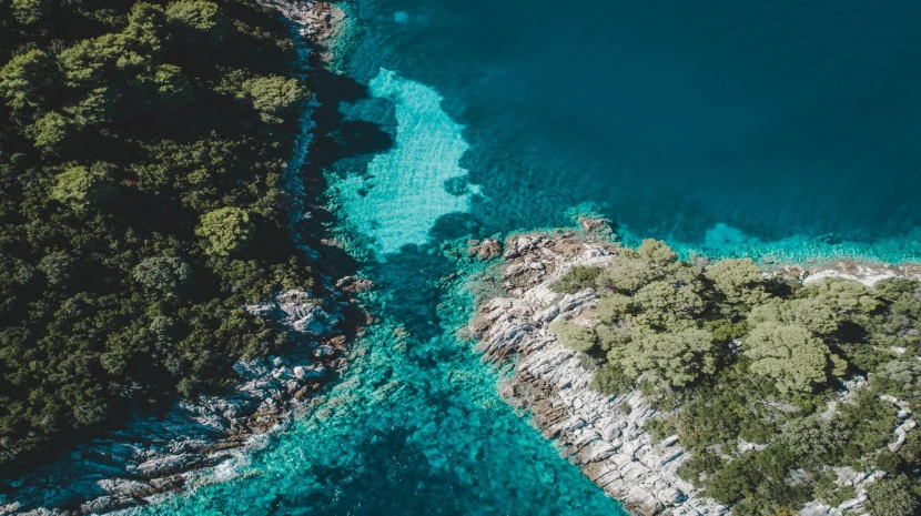 Mljet
