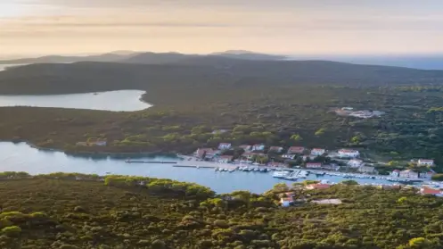 molat yacht charter
