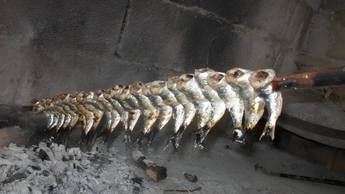 Traditional Croatian food srdele na ražnju, grilled sardines on a skewer, a simple Dalmatian coastal specialty