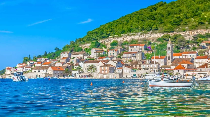 vis